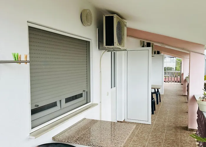 Budisa Daire Maslenica